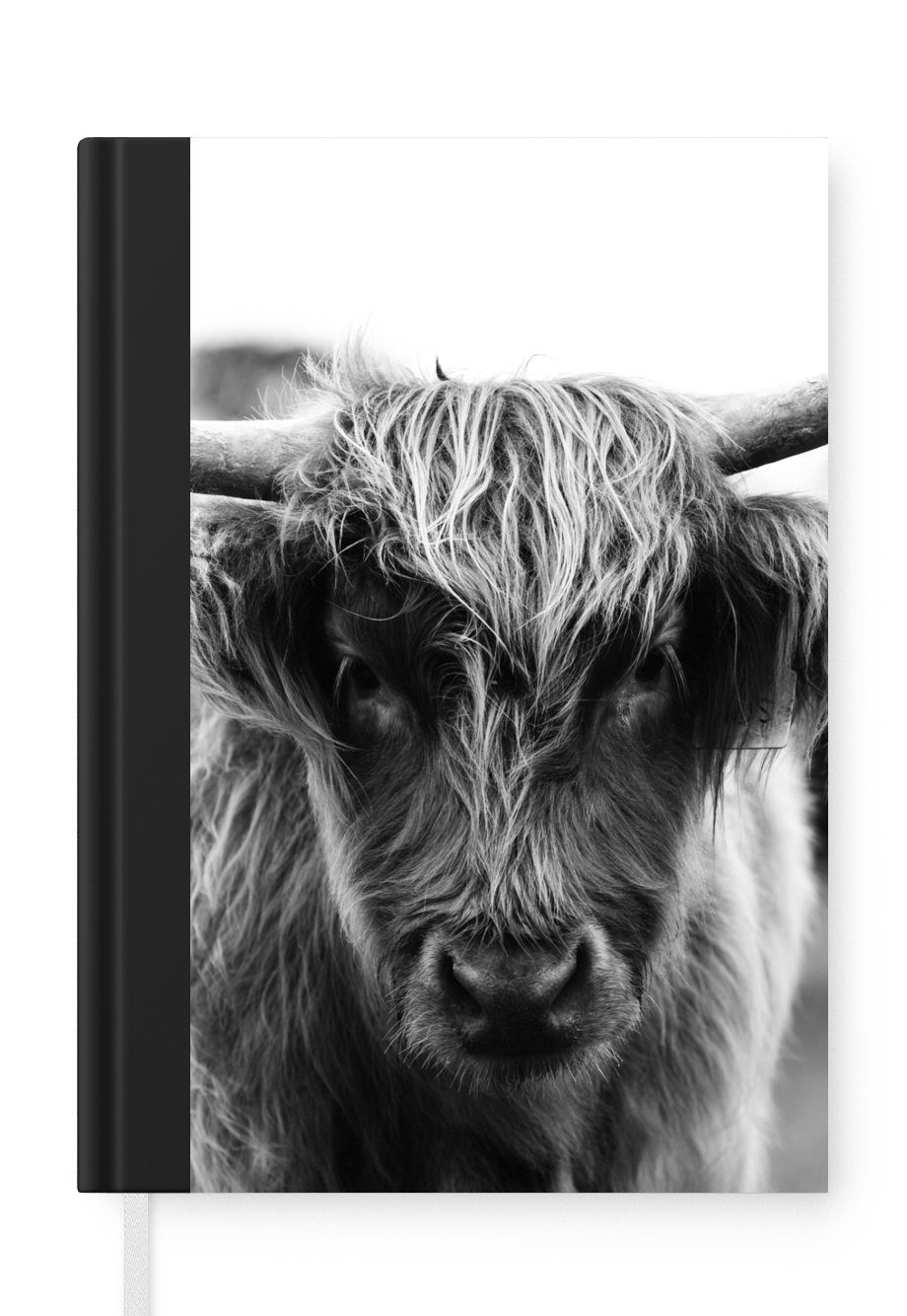 MuchoWow Notizbuch Schottischer Highlander - Kuh - Gras - Tiere - Natur, Journal, Merkzettel, Tagebuch, Notizheft, A5, 98 Seiten, Haushaltsbuch