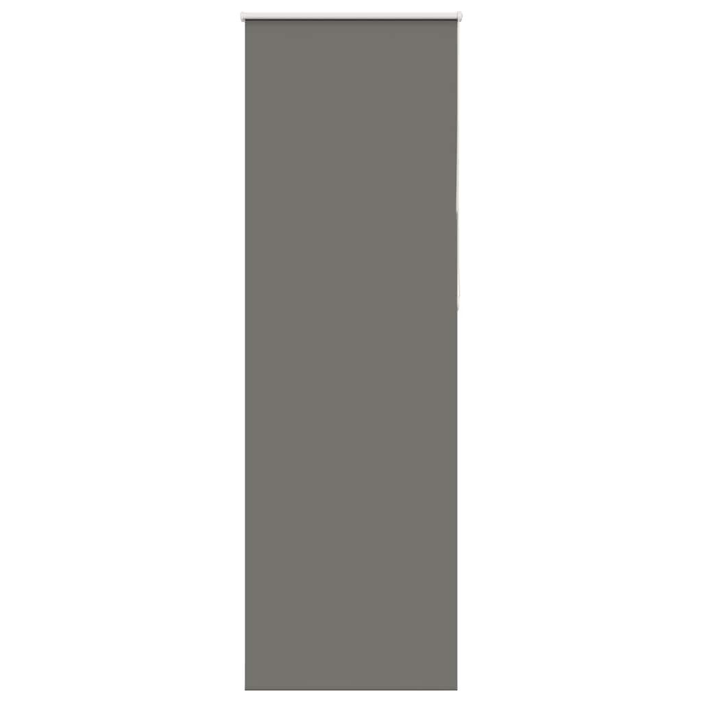 Rollo Verdunkelungsrollo Grau 75x210 cm Stoffbreite 70,7 cm Polyester, vidaXL