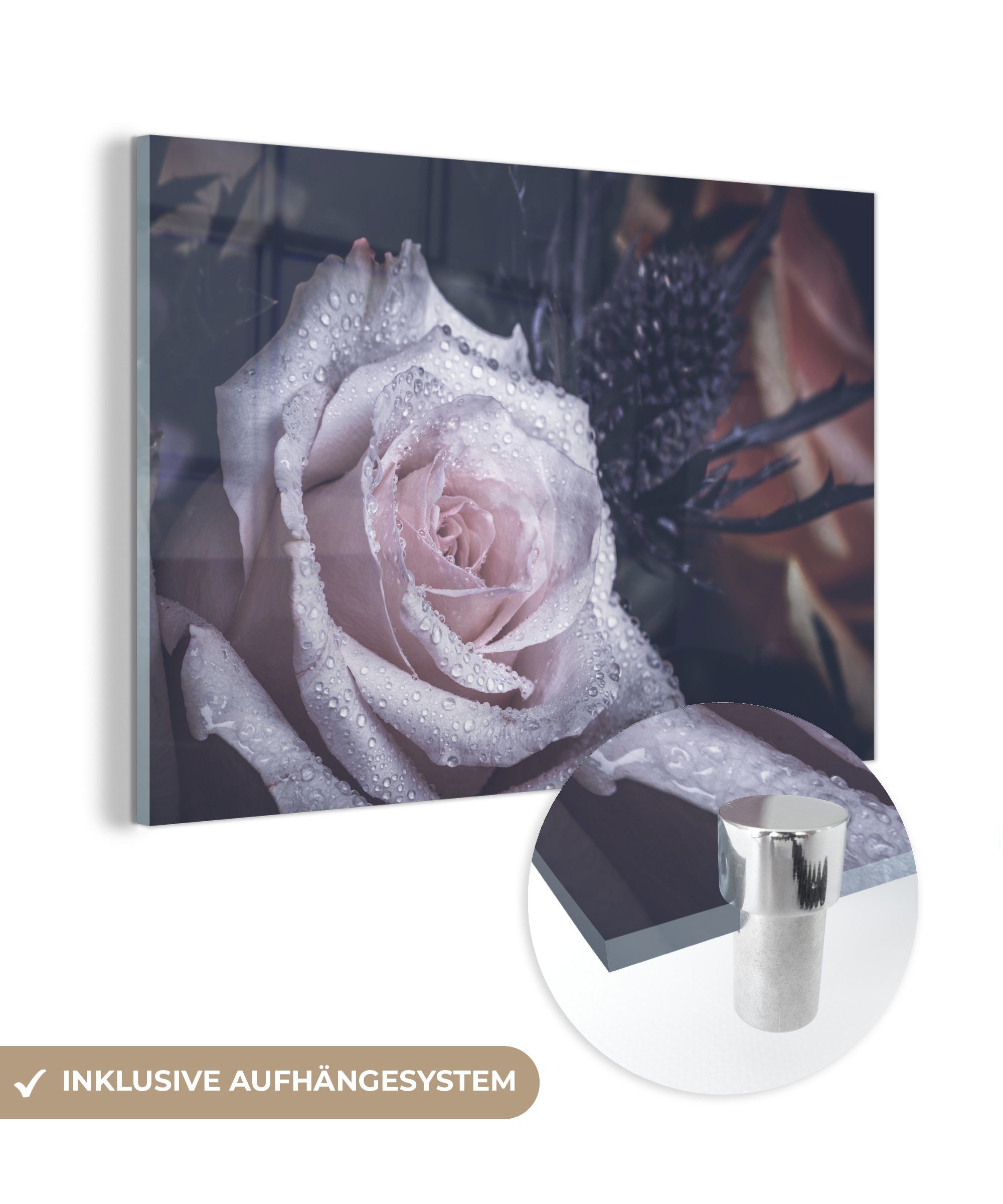 Wohnzimmer MuchoWow Acrylglasbilder (1 - & Weiß, Wasser Acrylglasbild Schlafzimmer St), Rose -