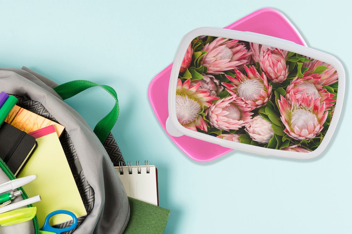(2-tlg), Protea, MuchoWow - Lunchbox für Kunststoff, Brotbox Brotdose Kunststoff Blumen Rosa Snackbox, Erwachsene, Mädchen, Kinder, -