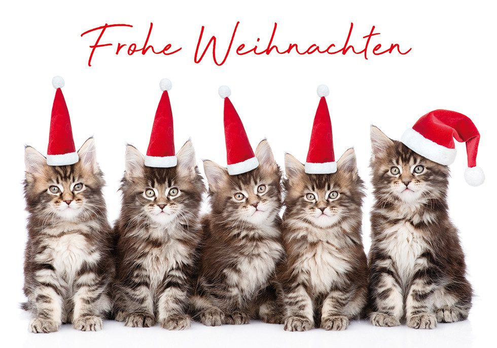 Perleberg Grußkarten Weihnachten - Glückwunschkarte im Format 11,5 x 17cm mit Umschlag