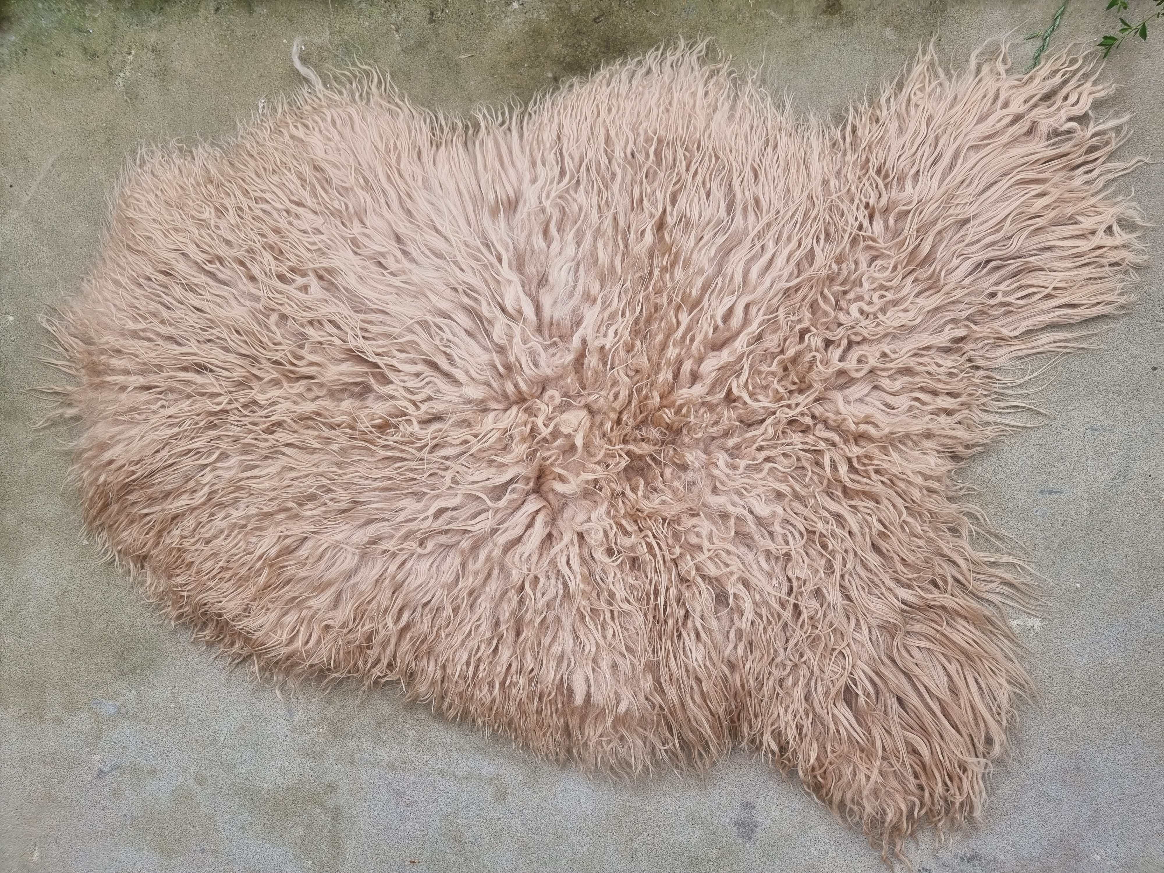 Provellus Fellteppich Premium, Langhaar Island Schaffell Lammfell Natur loc günstig online kaufen