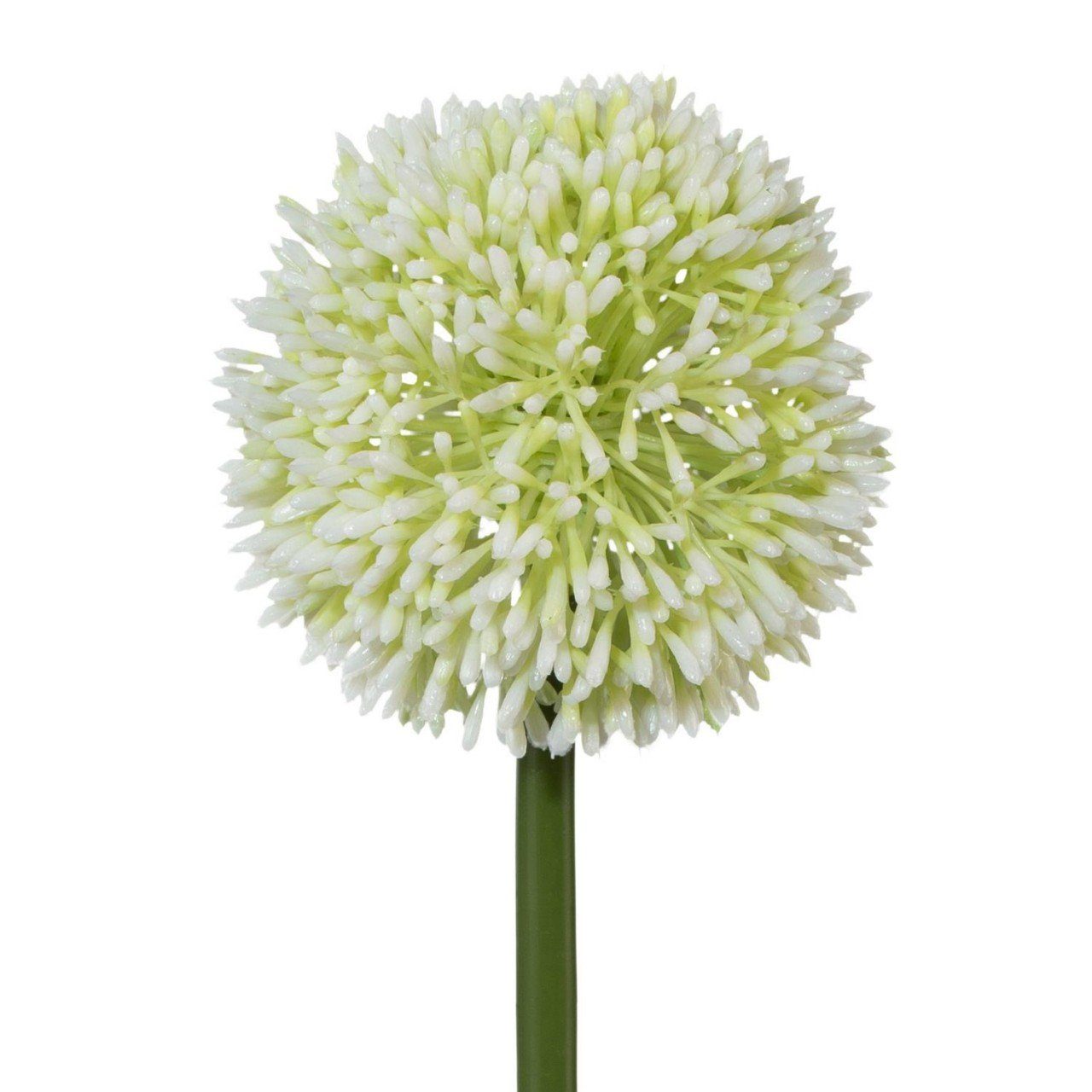Kunstpflanze, Gasper, Höhe 64 cm, Weiß H:64cm D:11cm Kunststoff