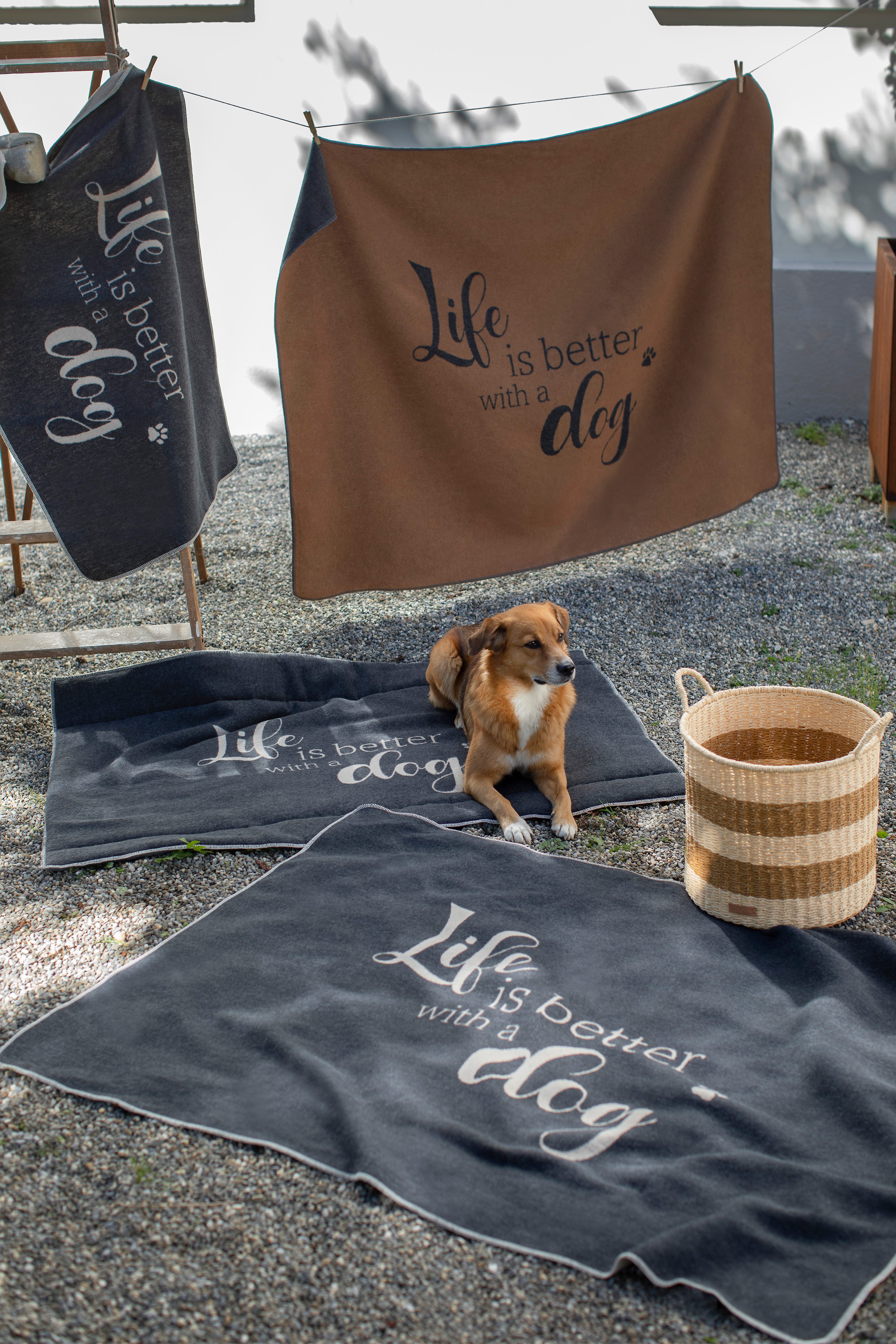 DAVID FUSSENEGGER Hundematte 'life is better' 80 x 120 cm Anthrazit - Grau
