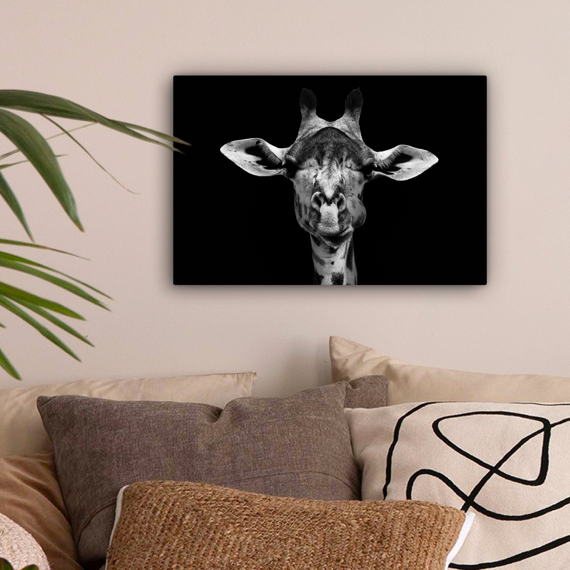 OneMillionCanvasses® Leinwandbild Giraffe - Tiere - Porträt - Schwarz, Foto günstig online kaufen