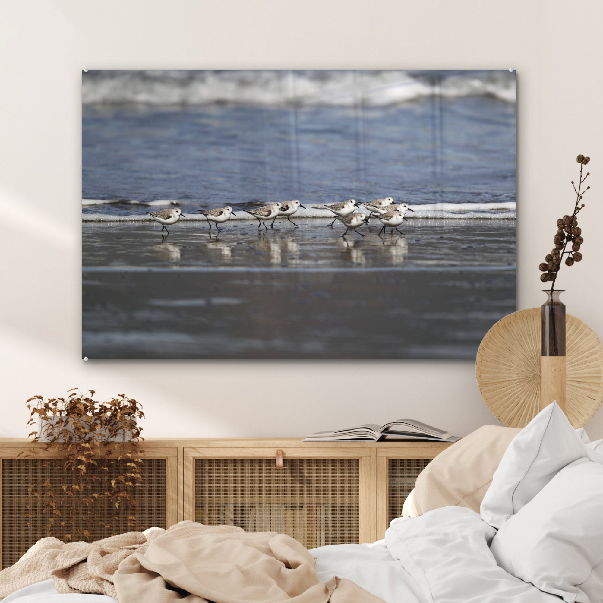Schlafzimmer am Kentischer Strand, St), Acrylglasbilder Acrylglasbild Eine Regenpfeifer & Gruppe MuchoWow Wohnzimmer (1