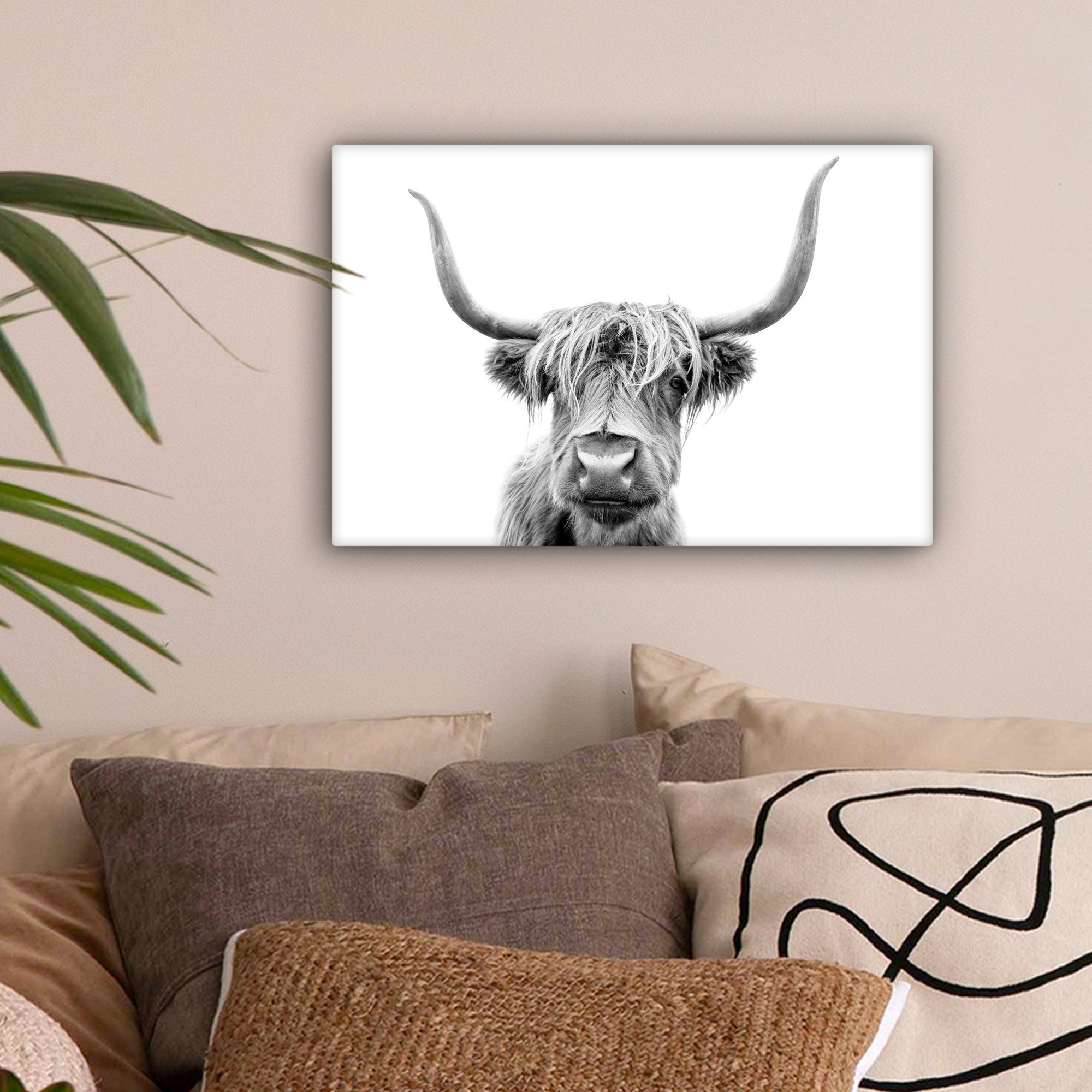 cm - Highlander - Scottish Leinwandbilder, Aufhängefertig, Schwarz Wanddeko, OneMillionCanvasses® Wandbild (1 Stier St), - Weiß, 30x20 Leinwandbild