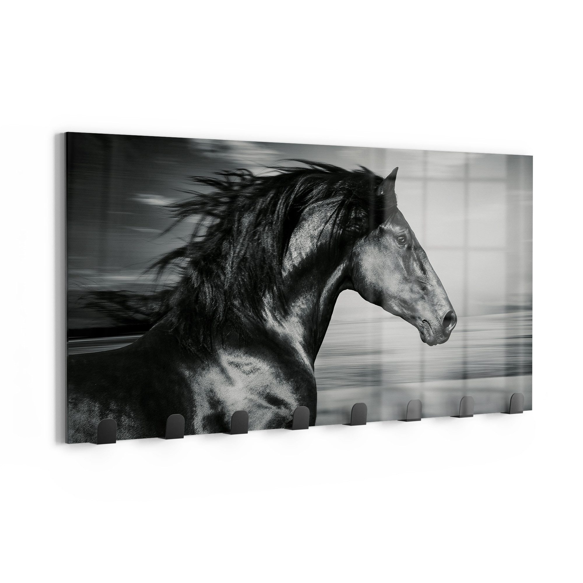 DEQORI Kleiderhaken 'Galoppierendes Pferd', Glas Garderobe Paneel magnetisch beschreibbar