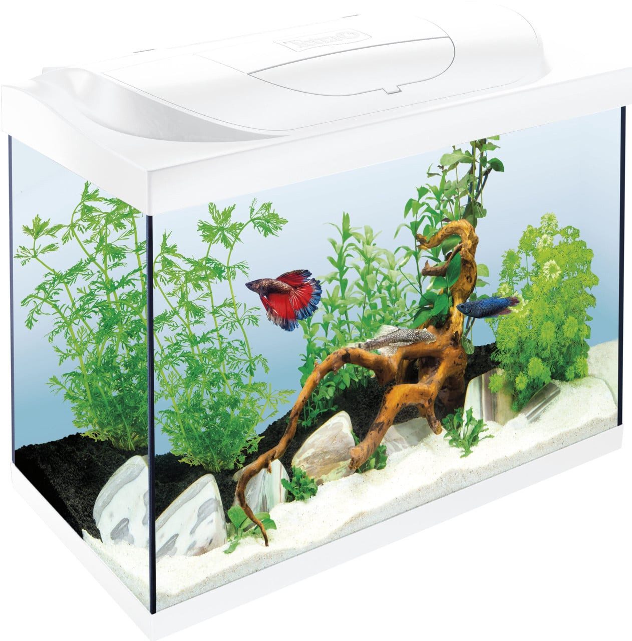 Tetra Aquarium Tetra Aquarium Starter Line LED 80 L weiß