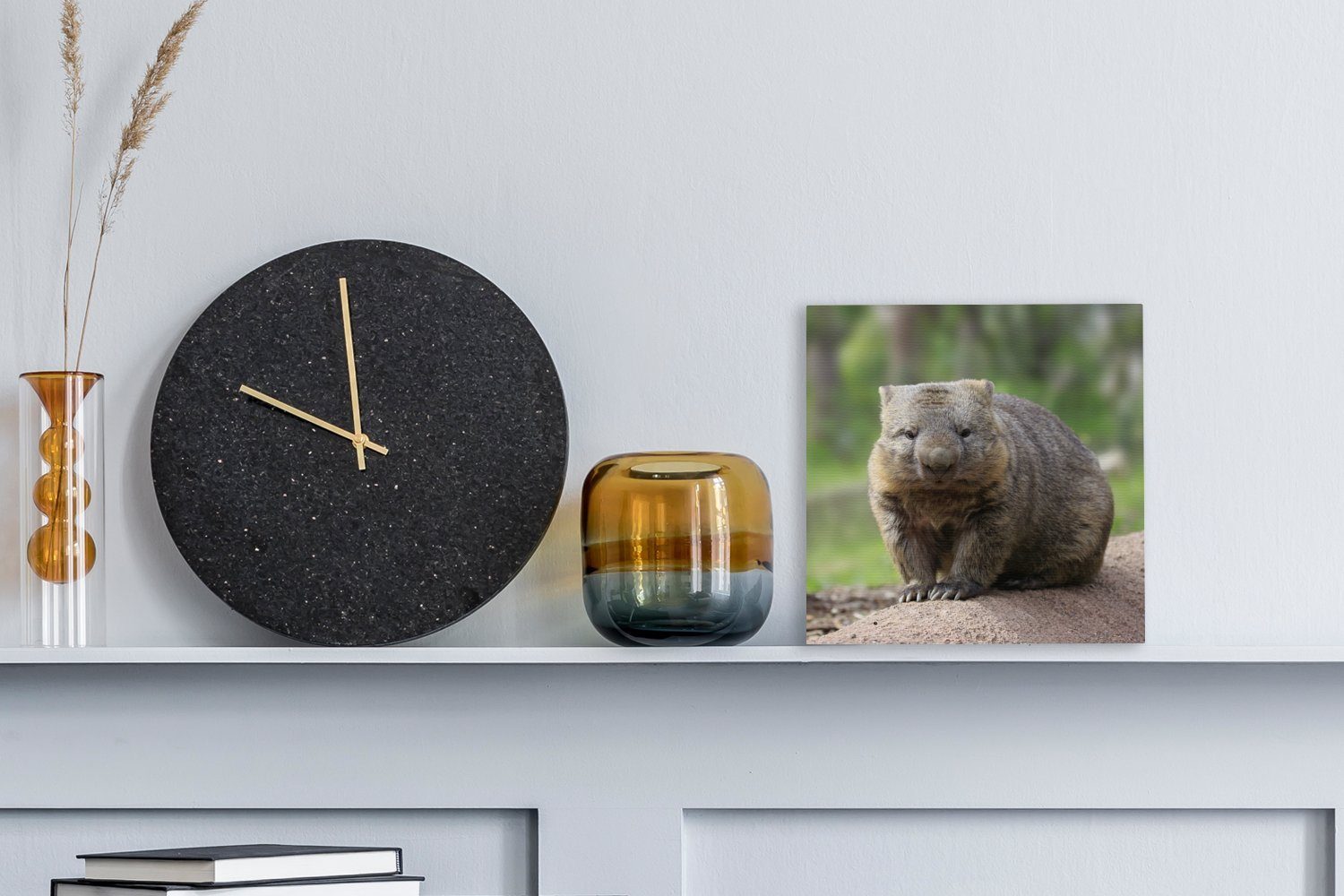 OneMillionCanvasses® Wohnzimmer Bilder auf Leinwand Baumstamm, (1 für Schlafzimmer einem Leinwandbild Wombat sitzt St), Ein