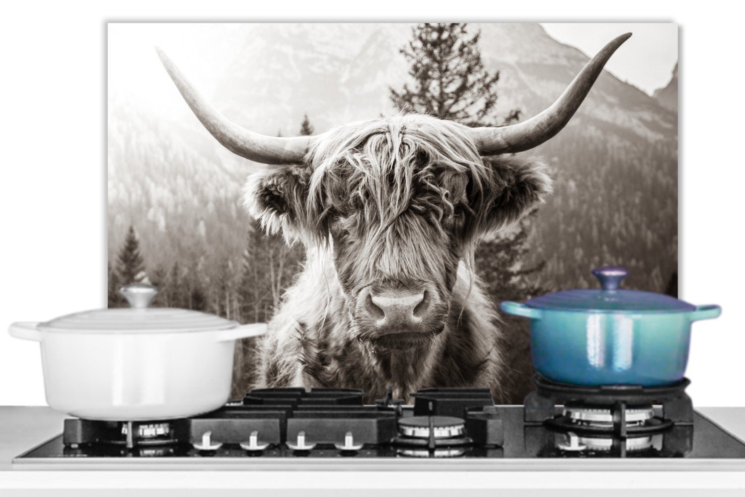 Schottischer Kuh Herdblende aus küchen - - MuchoWow (1-tlg), Wandschutz, 60x40 Küchenrückwand Schwarz - Tiere Weiß, Highlander cm, Temperaturbeständig -