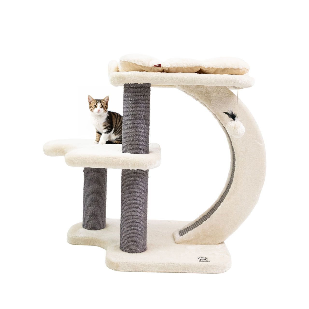 Canadian Cat Company Kratzbaum Jordan 81 cm kompakter Design Katzenkratzbaum, mit Sisalstämmen, Kratzrampe, ca. 68 x 48 x 81 cm