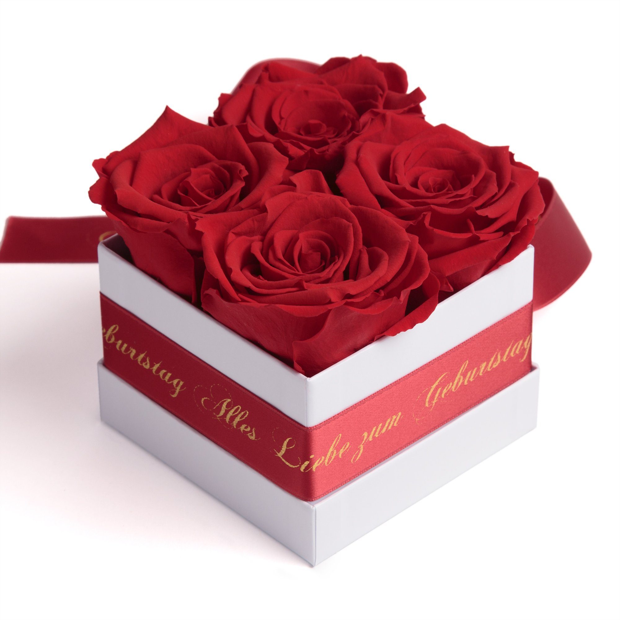 ROSEMARIE SCHULZ Heidelberg Geburtstag bis haltbar Blumen Infinity Dekoobjekt Echte Rose zum zu rot Alles 3 Geschenk, Jahre Rosenbox Liebe