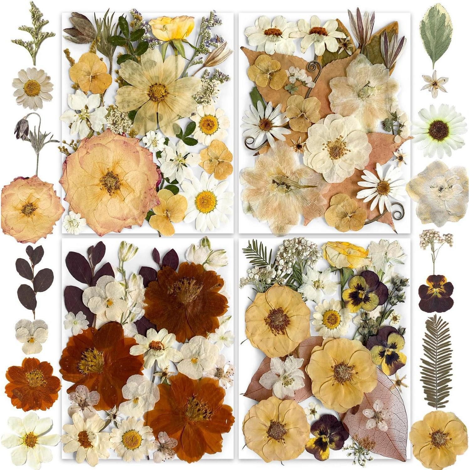 LuxusKollektion Kreativset Gepresste Blumen Harz DIY 148 Stk Boho