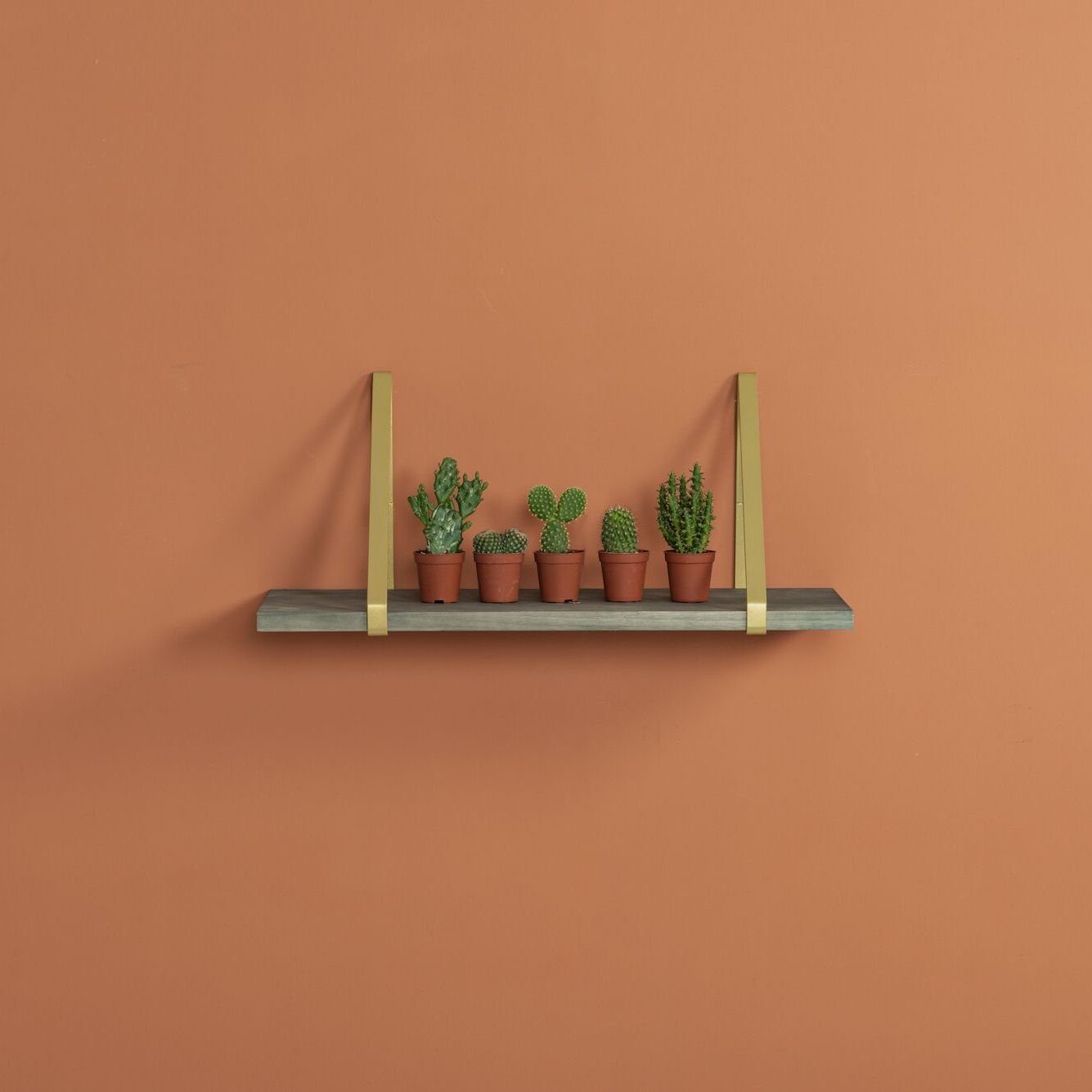 Duraline Wandregalhalter Regalwinkel 2er-Set - Bold, Regalhalter aus Metall, 15 kg Traglast