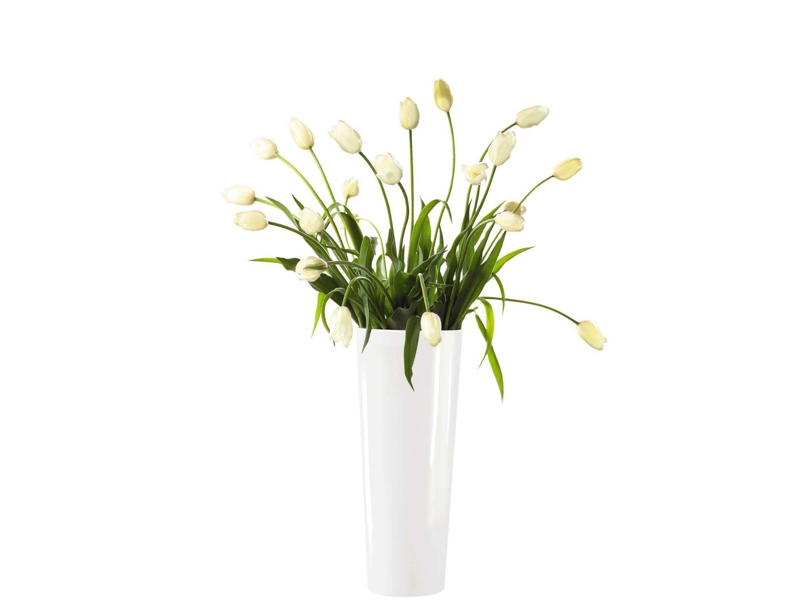 ASA SELECTION Dekovase Vase mono weiß 60 cm (Vasen)