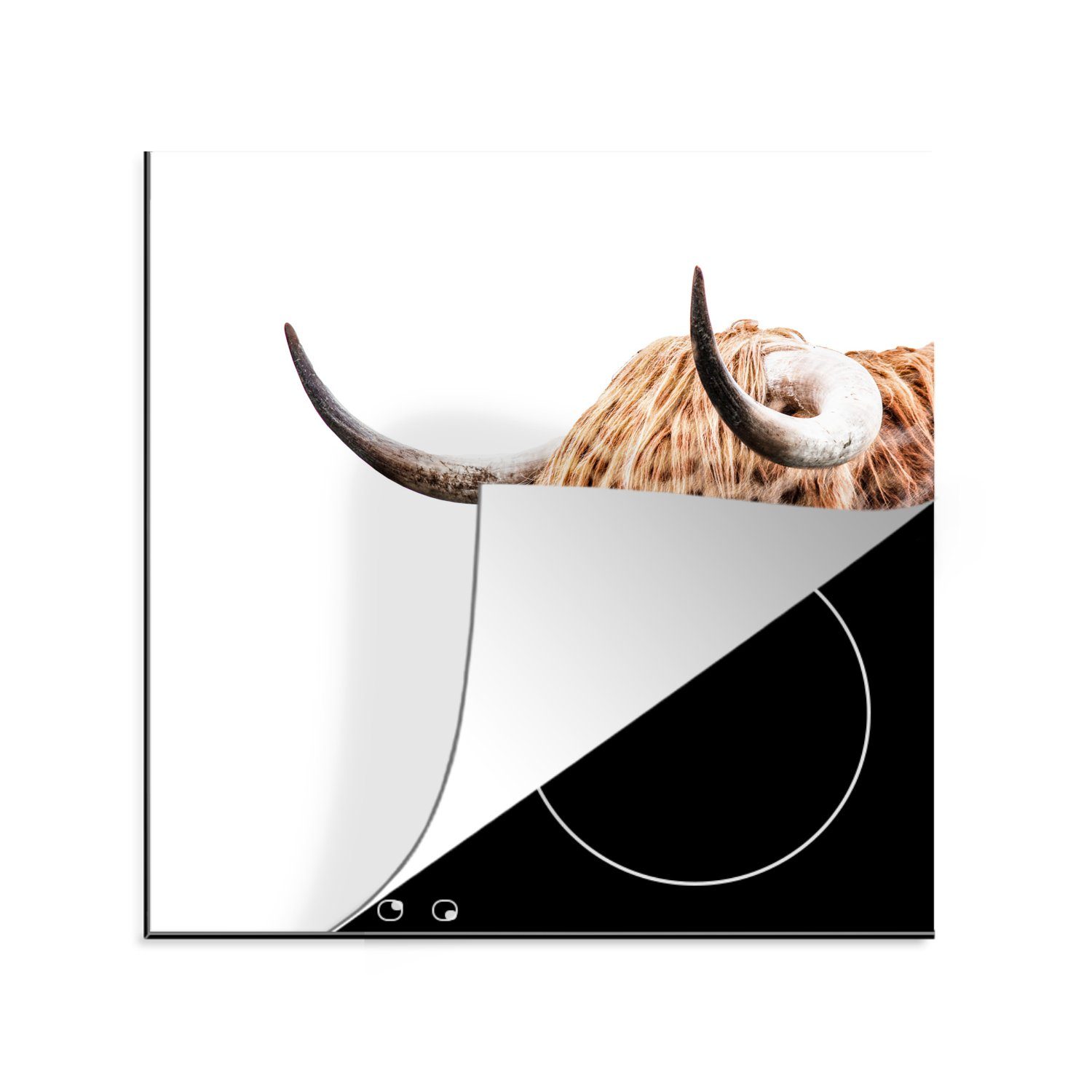 MuchoWow Herdblende-/Abdeckplatte Schottischer Highlander - Panther - Entwurf, Vinyl, (1 tlg), 78x78 cm, Ceranfeldabdeckung, Arbeitsplatte für küche | Herdabdeckplatten