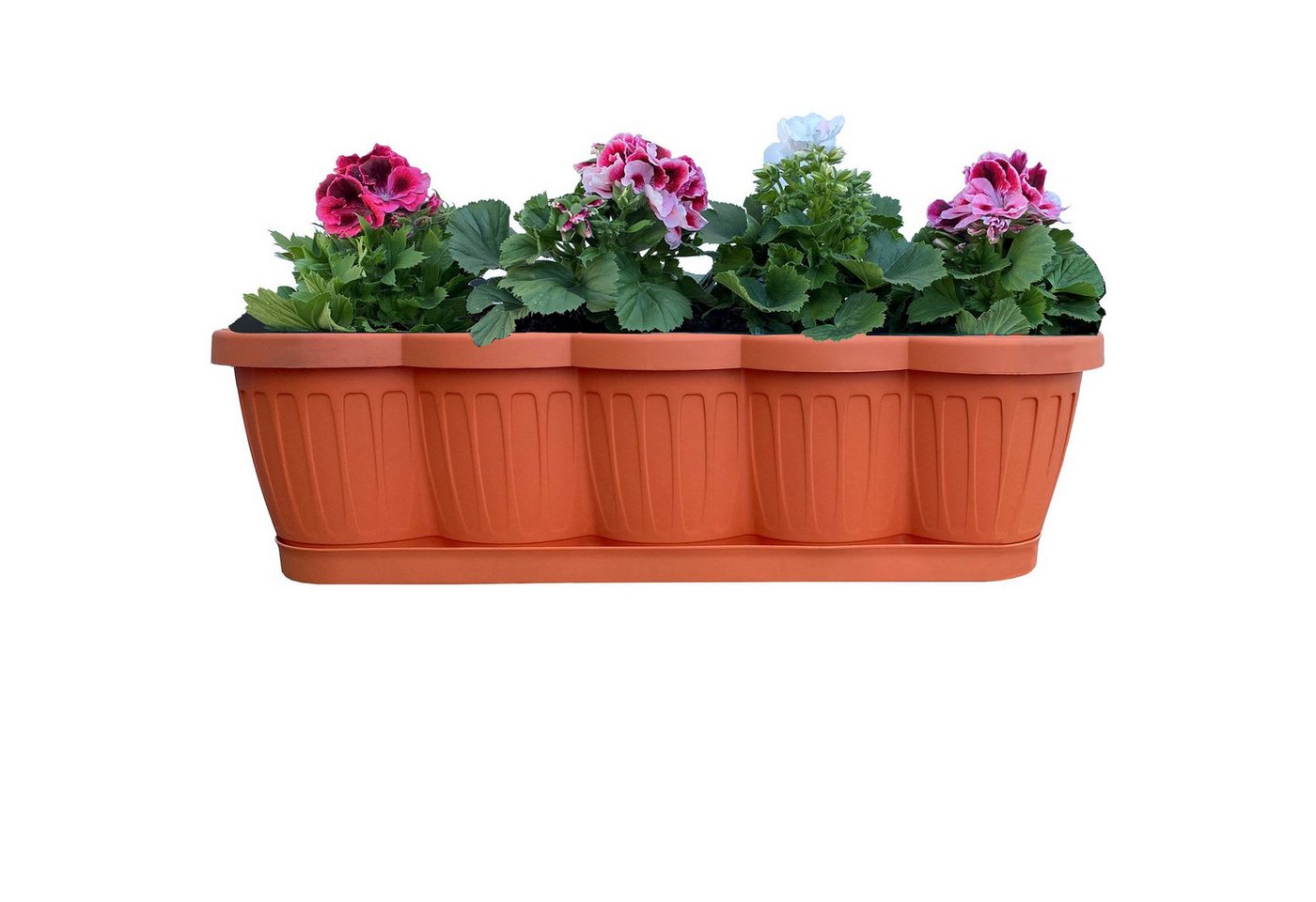 Thumbnail - BURI Blumenkasten 3er Set 60cm Blumenkasten Pflanzkasten Terracotta mit Bewässerung