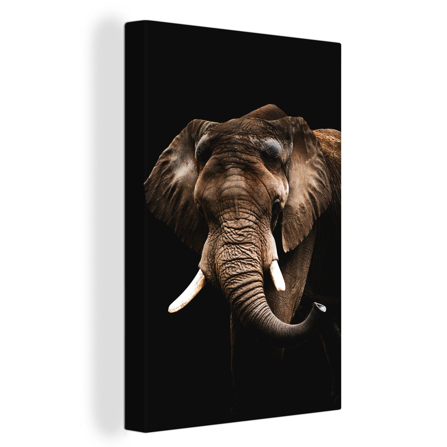 OneMillionCanvasses® Leinwandbild Elefant - Schwarz - Tiere, (1 St), Leinwandbild fertig bespannt inkl. Zackenaufhänger, Gemälde, 20x30 cm