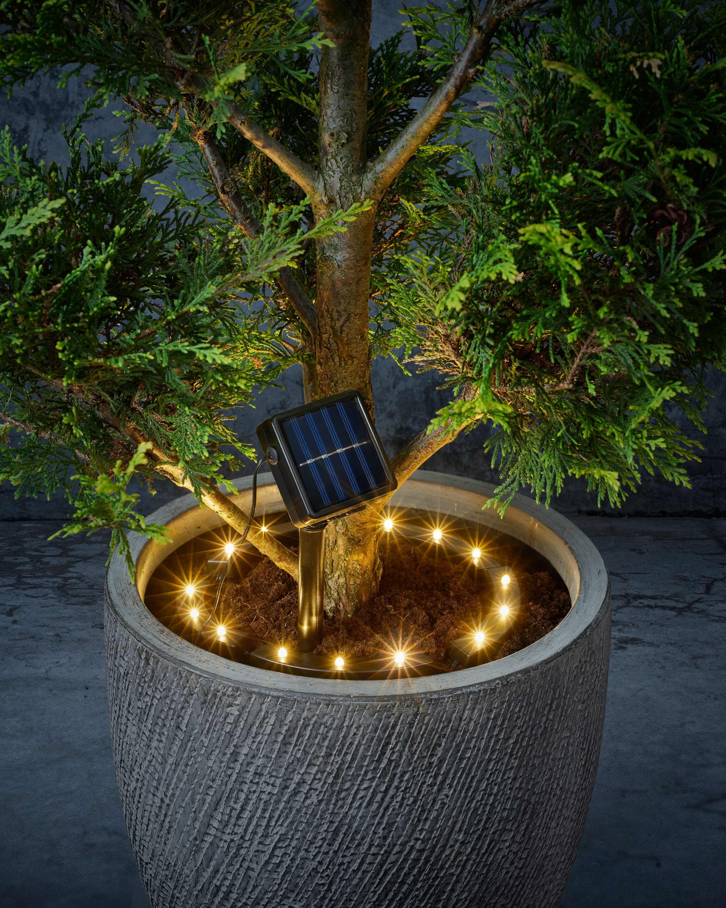 IC Gardenstyle Pflanzenlampe Solar Pflanzenbeleuchtung, LED fest  integriert, warm-weiß, solarbetrieben, für Innen und Außen, moderner  Pflanzentrahler, wetterfeste Solarleuchte