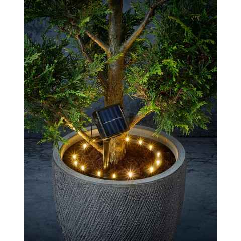 IC Gardenstyle Pflanzenlampe Solar Pflanzenbeleuchtung, LED fest integriert, warm-weiß, solarbetrieben, für Innen und Außen, moderner Pflanzentrahler, wetterfeste Solarleuchte