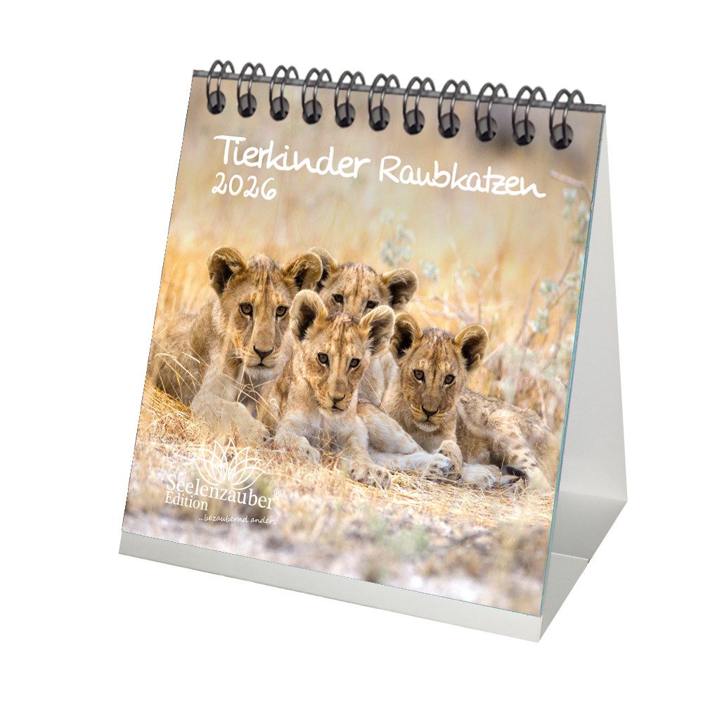 Seelenzauber Tischkalender Tierkinder Raubkatzen Tischkalender 10cm x 10cm für 2026 Raubkatzen