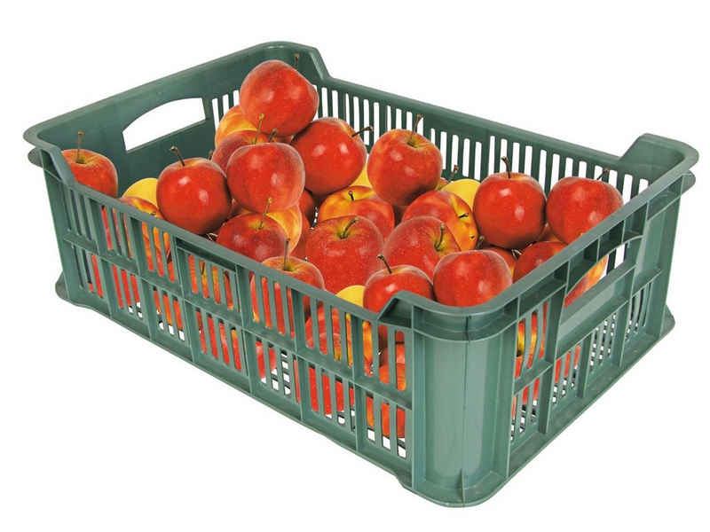 BURI Aufbewahrungsbox Obst- und Gemüsekiste Kartoffelkiste Kiste Lagerkiste Gemüse Transport