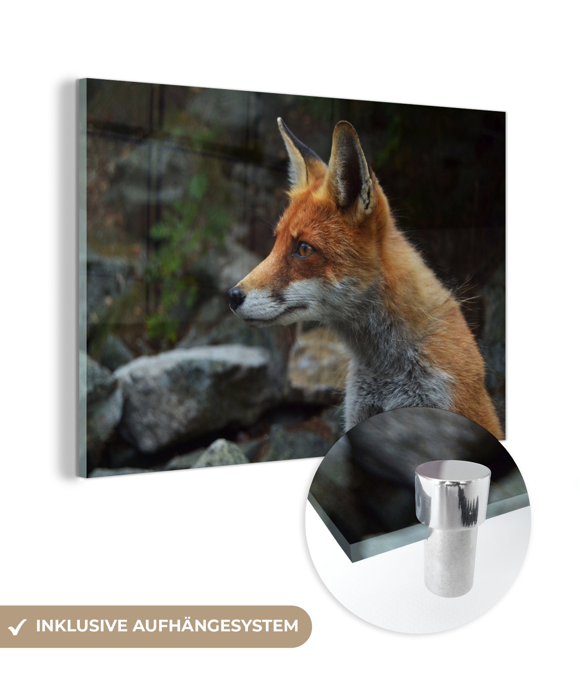 MuchoWow Acrylglasbild Fuchs - Orange - Steine, (1 St), Acrylglasbilder Wohnzimmer & Schlafzimmer | Bilder