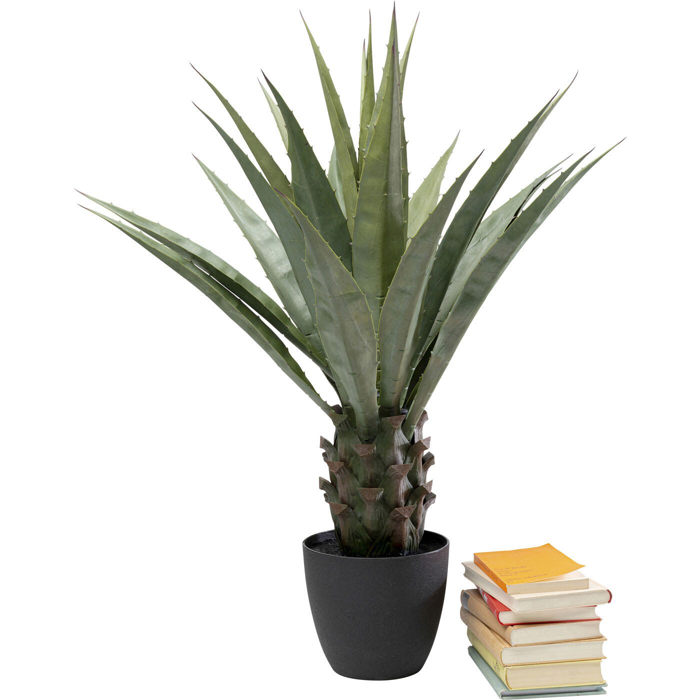 Künstliche Zimmerpflanze Agave, Kare Design, Höhe günstig online kaufen