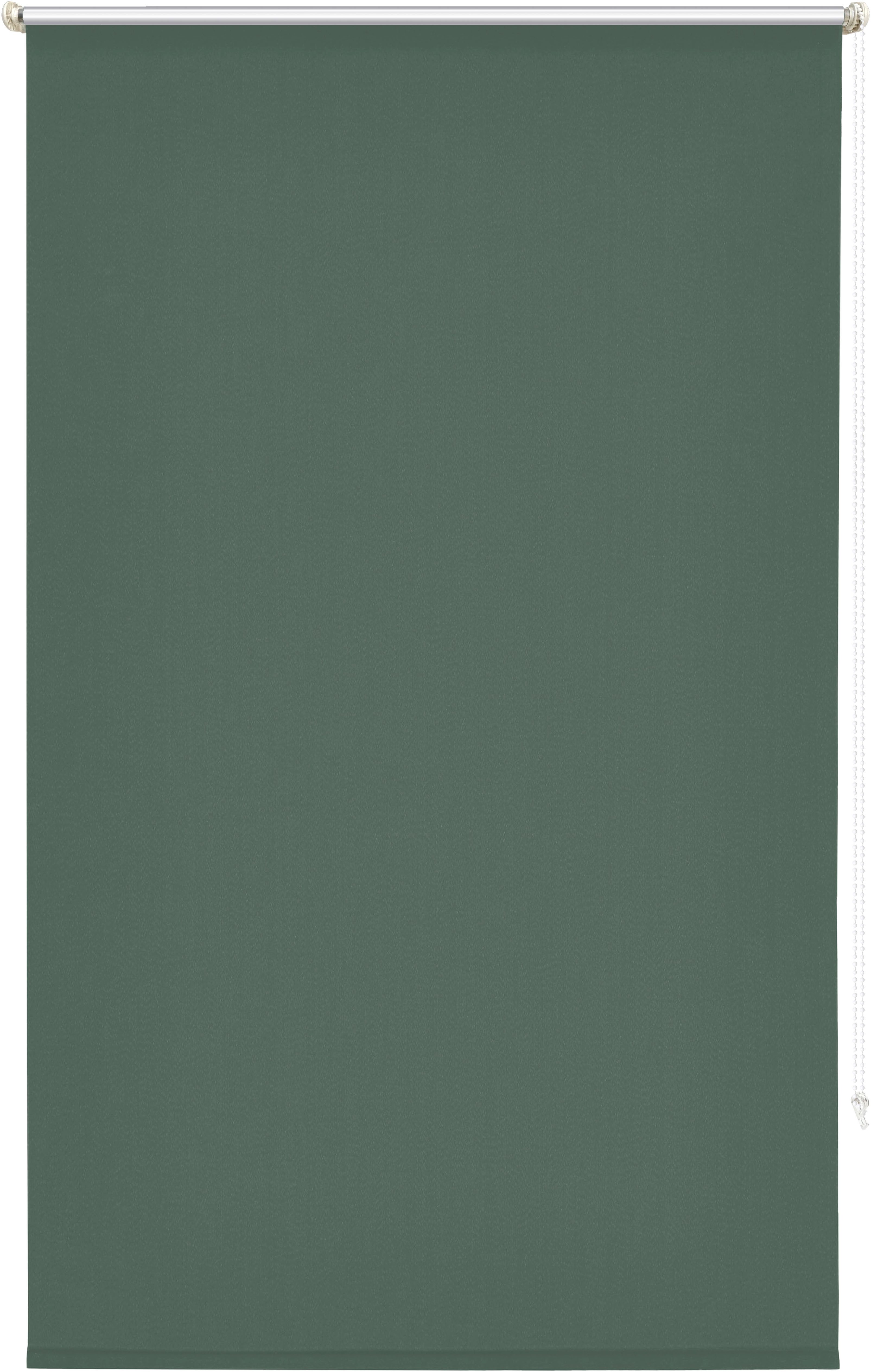 Seitenzugrollo THEMSE, my home, abdunkelnd, ohne günstig online kaufen