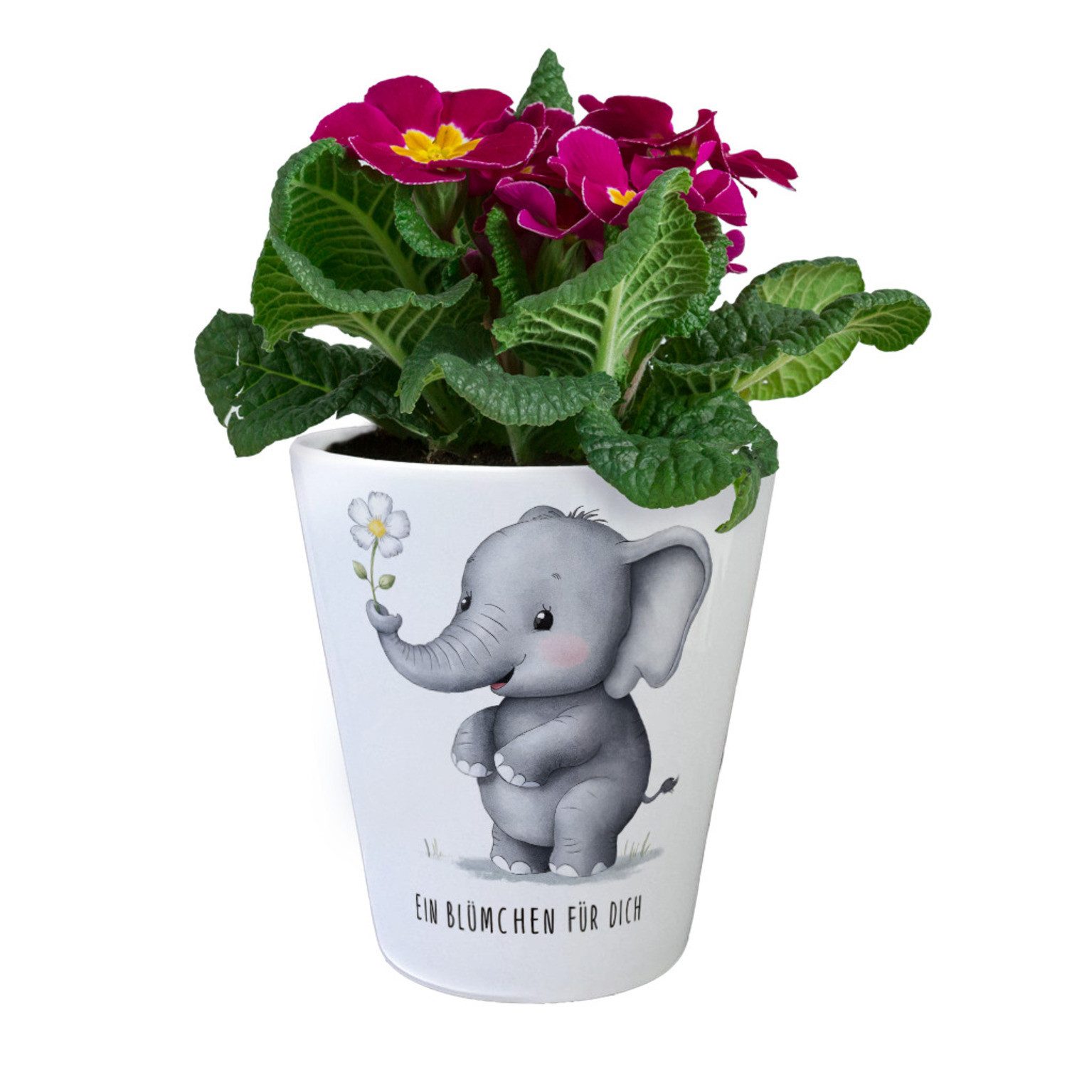 speecheese Blumentopf Grauer Elefant - Blümchen günstig online kaufen