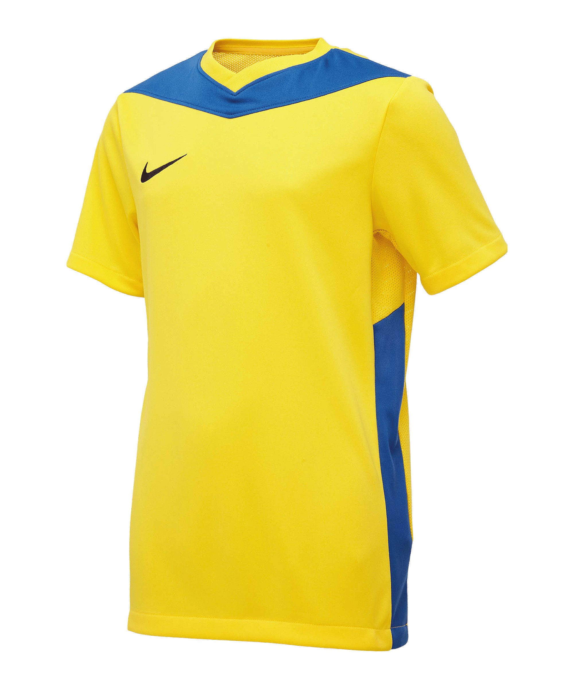 Nike Fußballtrikot Nike Performance Park Derby IV Trikot Kids Teamsport