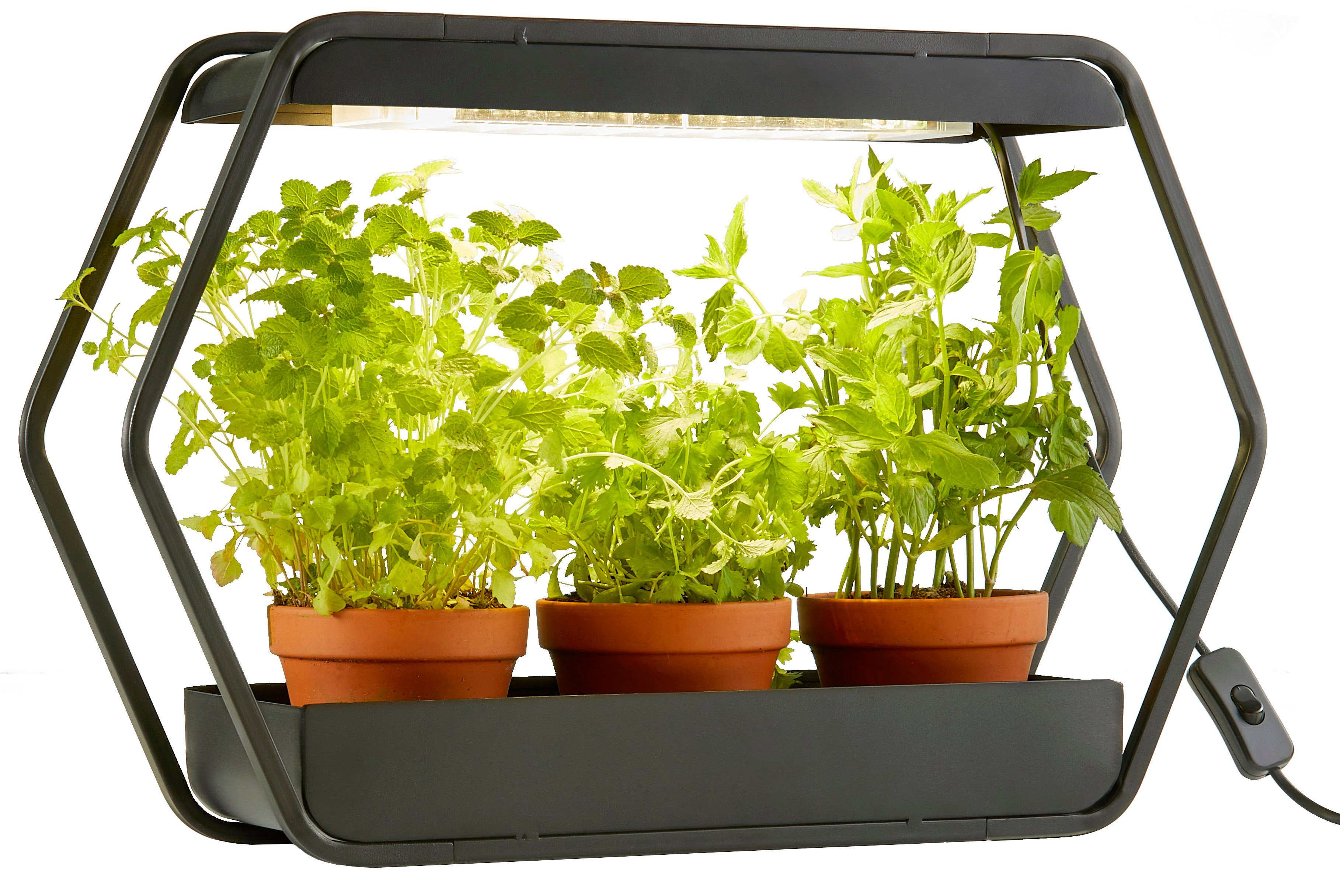 Northpoint Pflanzenlampe LED Pflanzenleuchte Kräutergarten Gewächslampe günstig online kaufen