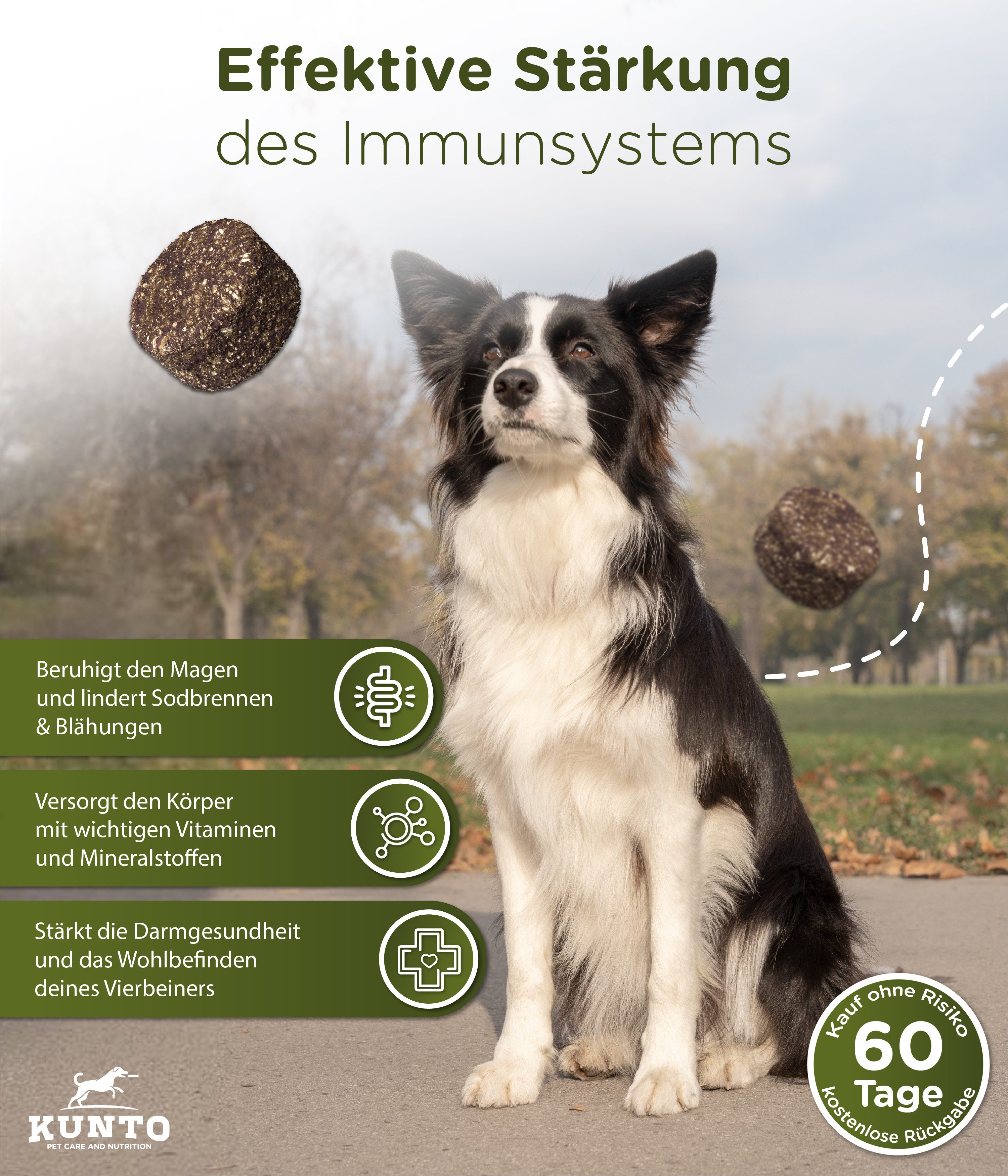 KUNTO Gras- und Kotfresser Drops für Hunde zum Magenschutz, Ergänzungsfutter für: Hunde, entwickelt und hergestellt in Deutschland
