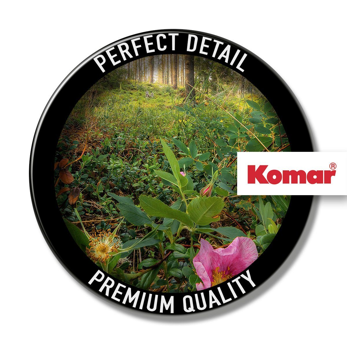 Komar Leinwandbild Charming Woods - Größe 60 x 40 cm, Baum, Berge, Blumen, Blätter, Foto, Jahreszeiten, Landschaft, Meer, Natur, Palmen, Strand (Packung, 1 St), Keilrahmenbild mi Echtholzrahmen