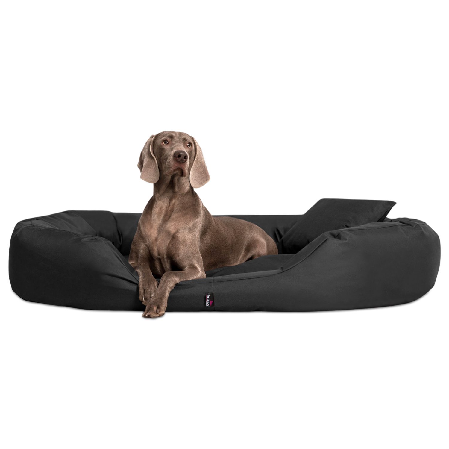 tierlando® Tierbett Orthopädisches Hundebett SAMMY, Robuster günstig online kaufen