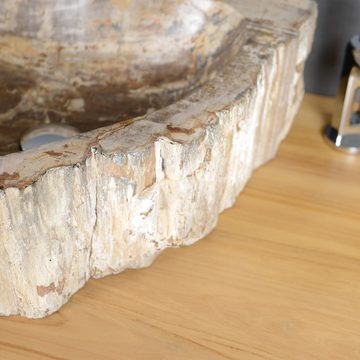 wohnfreuden Aufsatzwaschbecken Waschbecken fossiles Holz ca. 40-50 cm innen poliert (Kein Set), 1_124835
