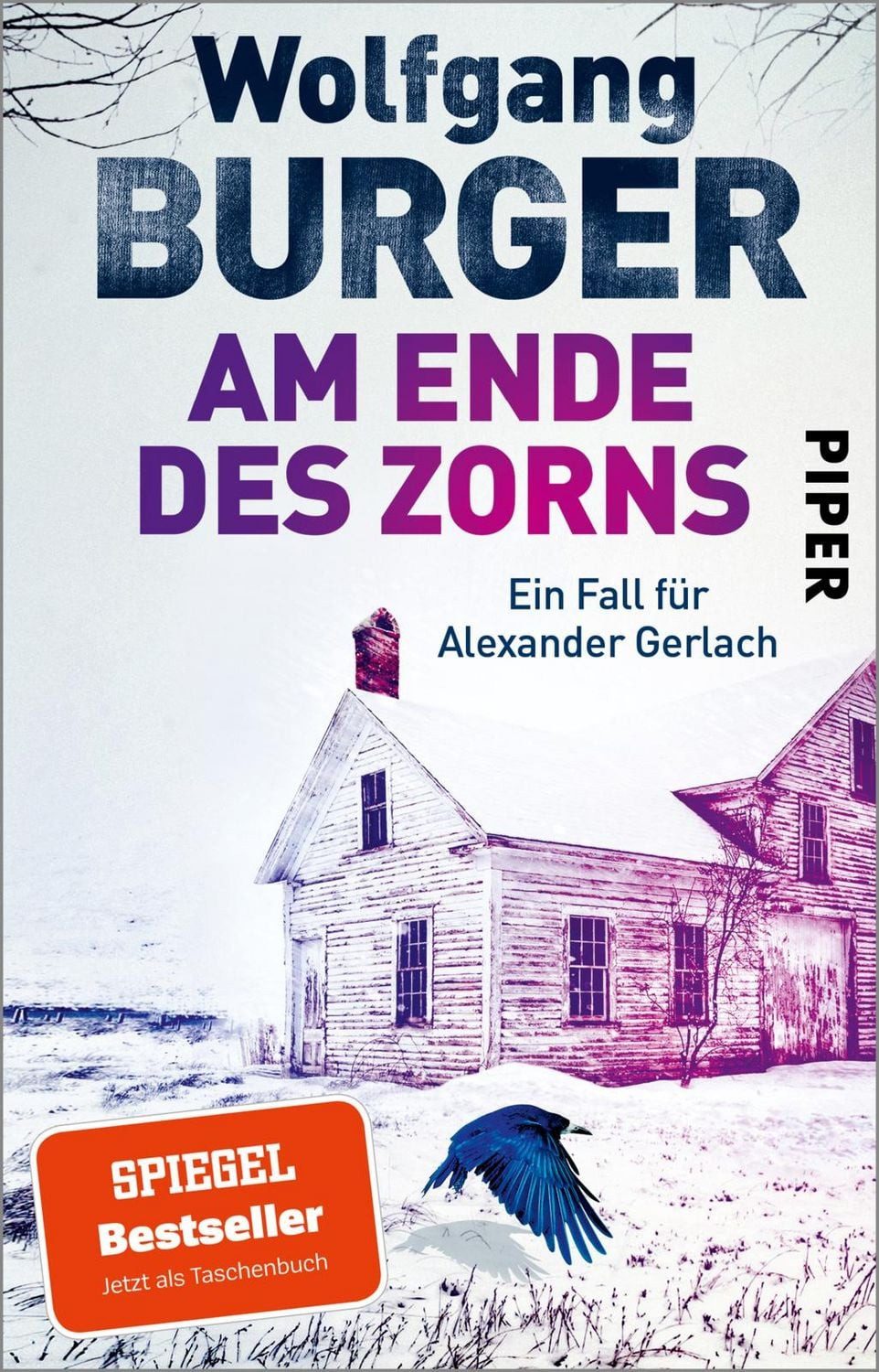 Am Ende des Zorns / Wolfgang Burger