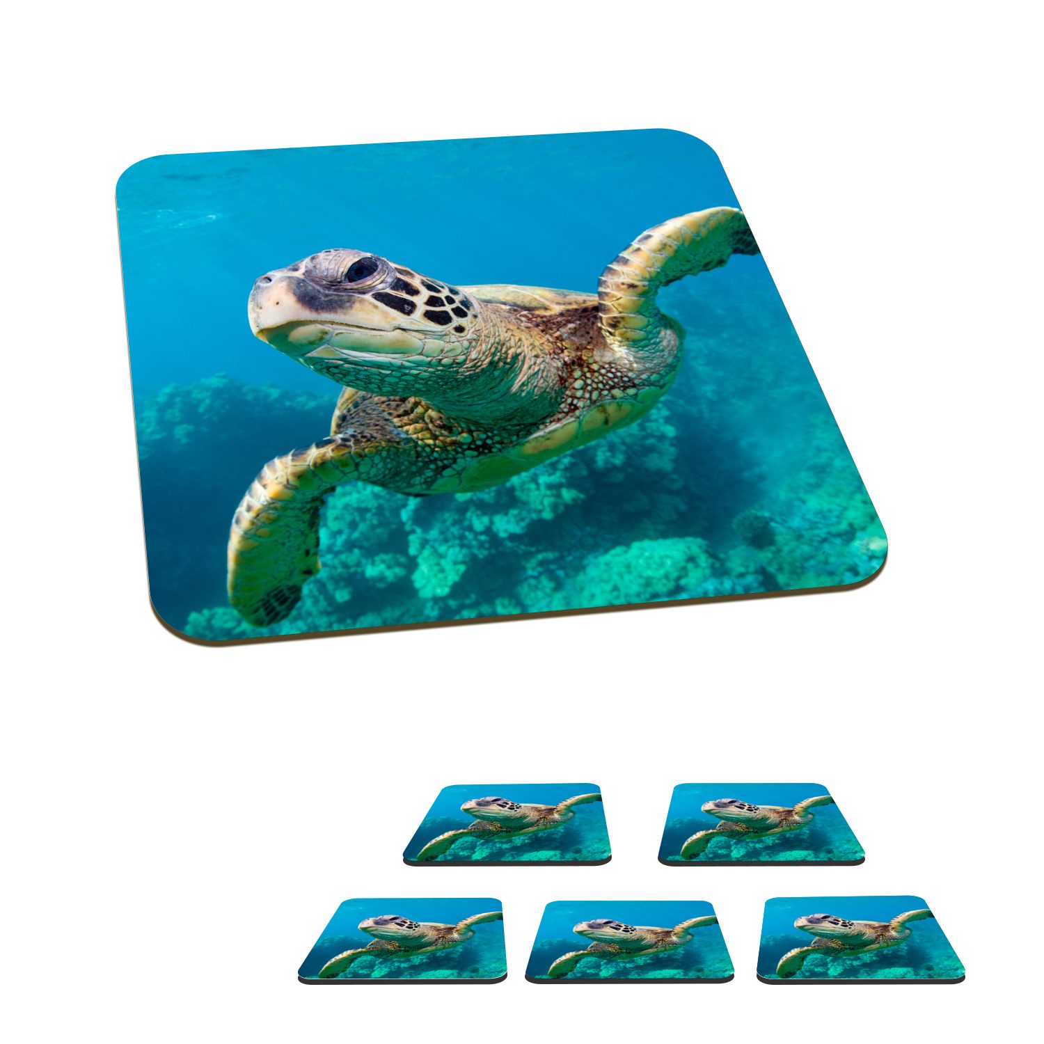 MuchoWow Glasuntersetzer Meeresschildkrötenschwimmen auf Hawaii, Zubehör für Gläser, 6-tlg., Glasuntersetzer, Tischuntersetzer, Korkuntersetzer, Untersetzer, Tasse