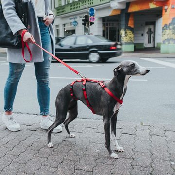 Hunter Tierbedarf Hunde-Geschirr Sicherheitsgeschirr Vario Rapid