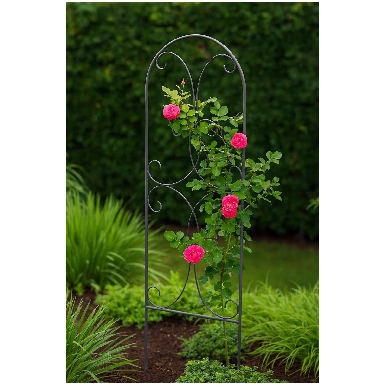 HTI-Living Rankhilfe Rankhilfe Verena Stück, 1 Rankhilfe, Rankgitter günstig online kaufen