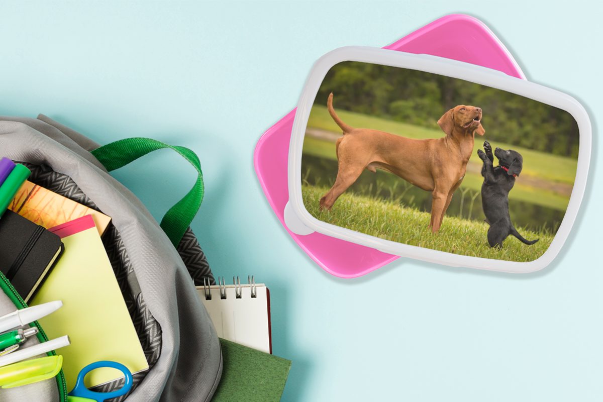 (2-tlg), Welpe spielt Brotdose MuchoWow rosa Hund, erwachsenen für Erwachsene, einem mit Brotbox Kinder, Kunststoff Lunchbox Kunststoff, Ein Snackbox, Mädchen,