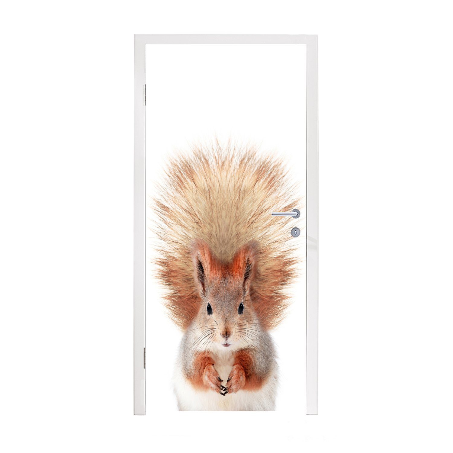 MuchoWow Türtapete Eichhörnchen - Tiere - Natur - Orange - Weiß, Matt, bedruckt, (1 St), Fototapete für Tür, Türaufkleber, 75x205 cm