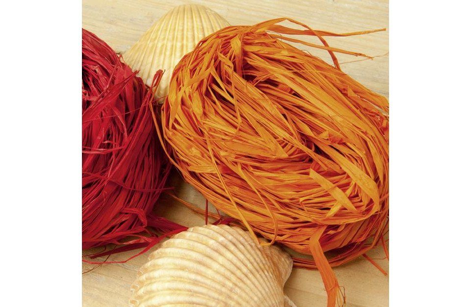 Prima Flora Rankhilfe Bast orange 20 g