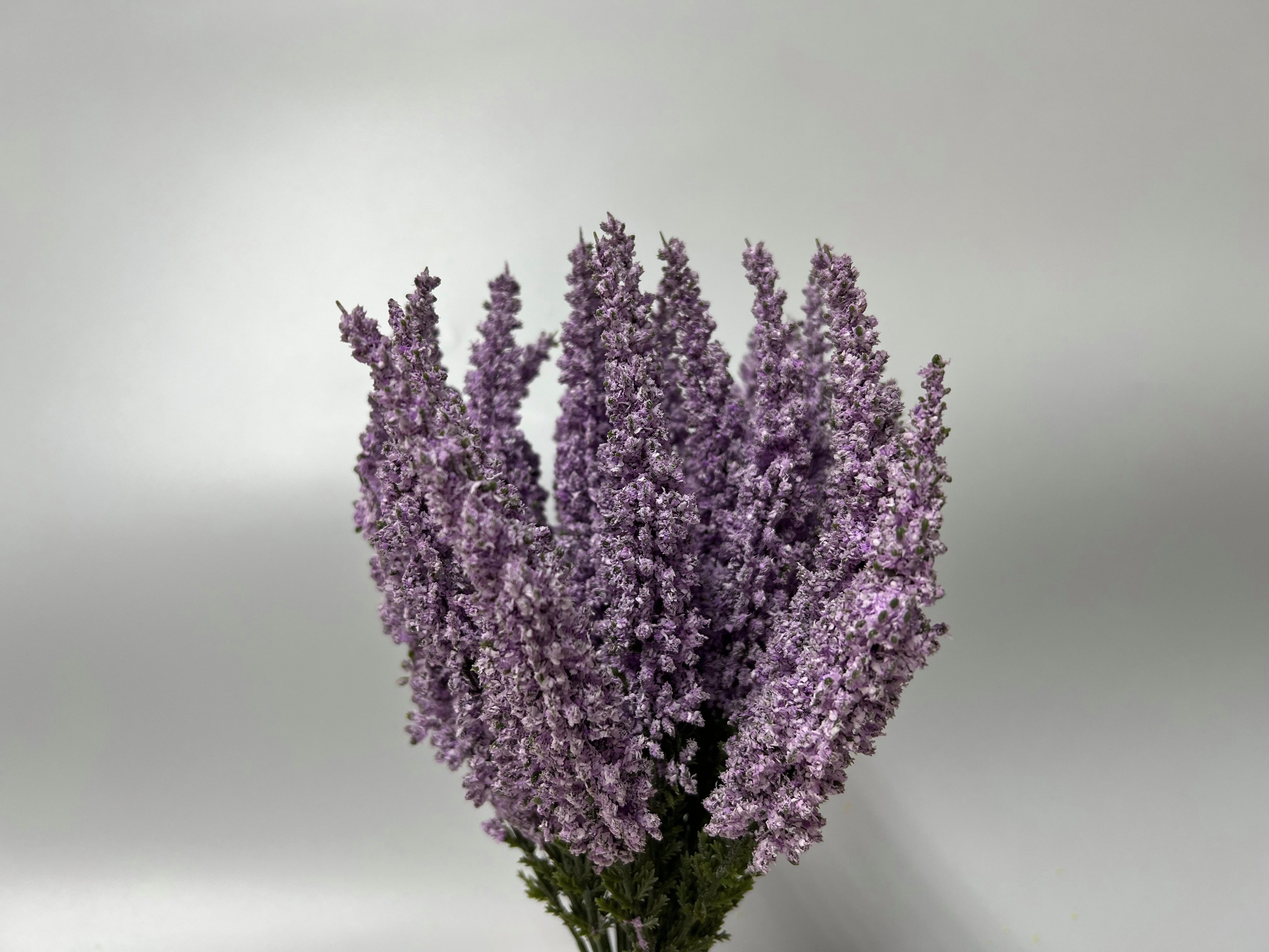 Kunstblume Erika Calluna auf Steckstab, Heidekraut 28cm mit 24 Blütenstiele günstig online kaufen