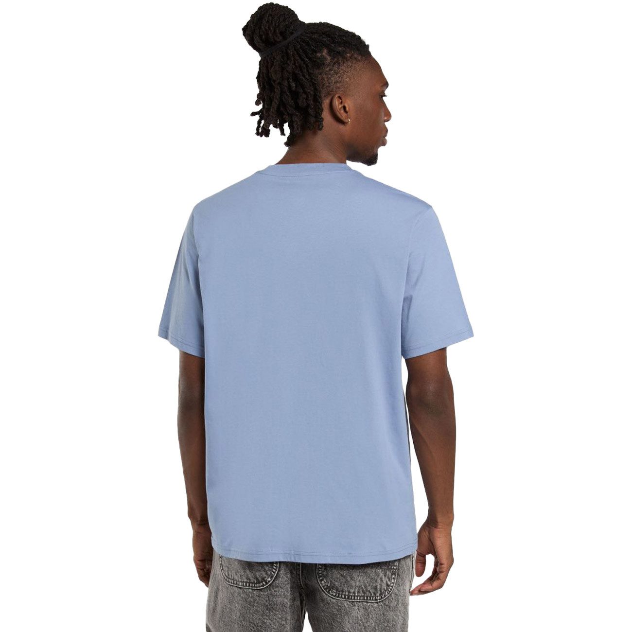 Dickies T-Shirt MAPLETON TEE MAPLETON TEE günstig online kaufen