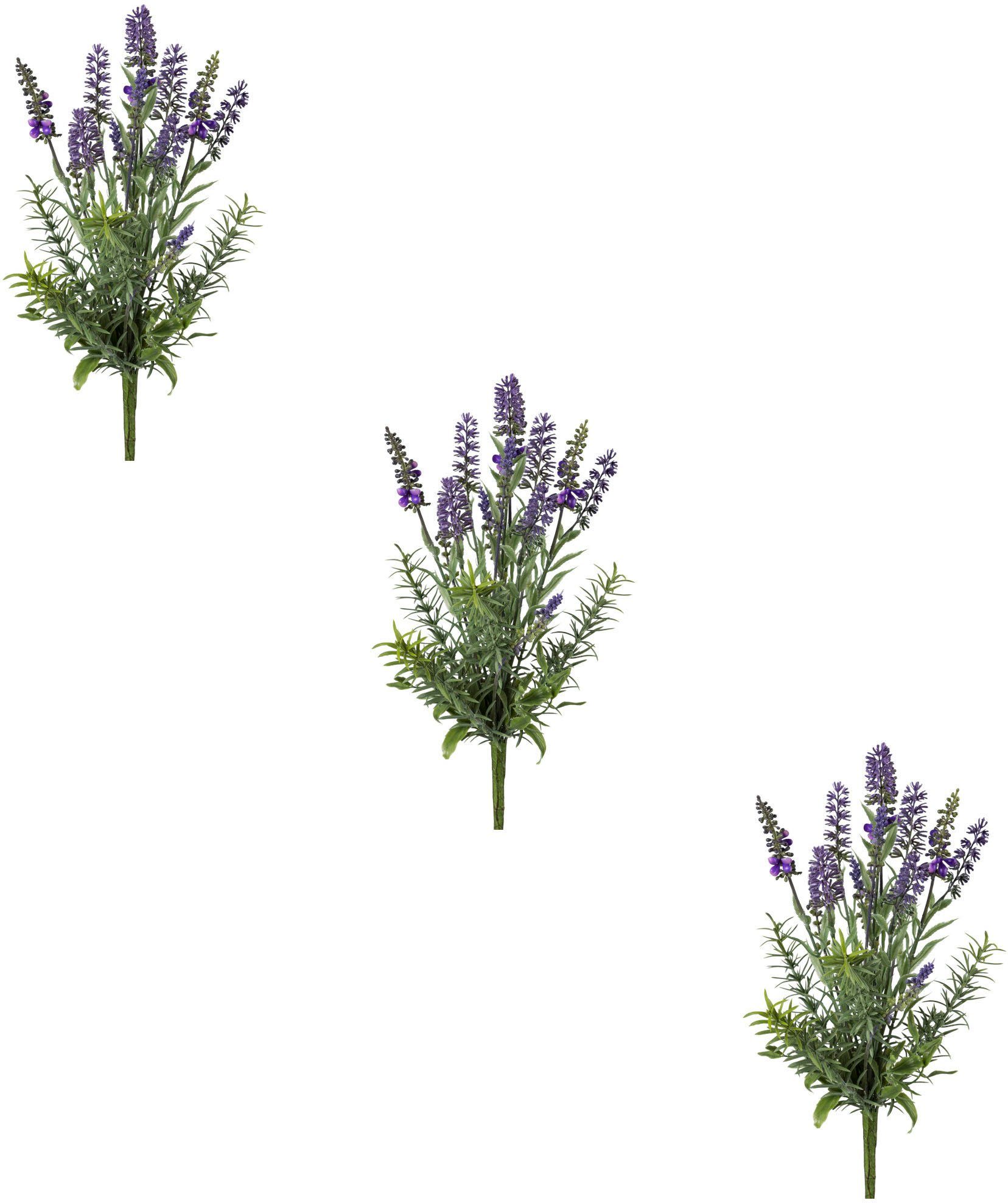 Kunstblume Lavendelbund Höhe cm Lavendel, green, Creativ 37