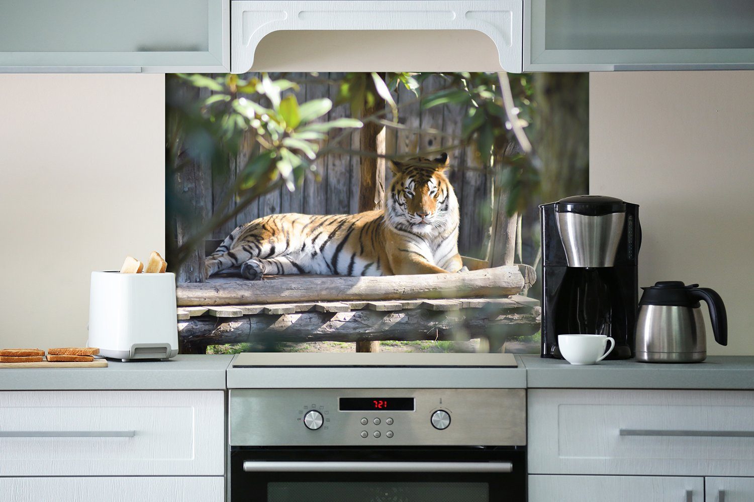 Wallario Tiger (1-tlg) Sonnenschein, im Küchenrückwand