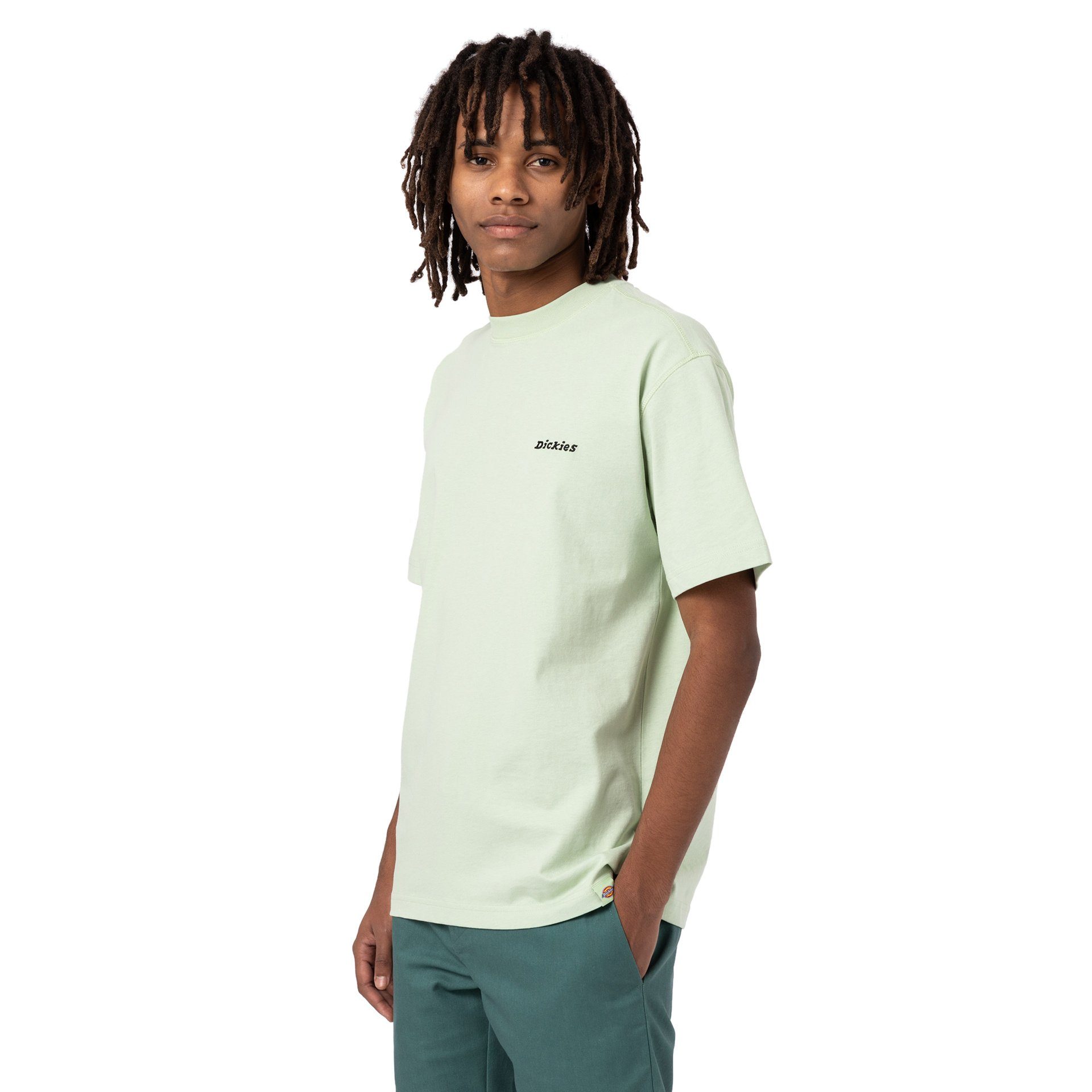 Dickies T-Shirt Dickies Herren T-Shirt Loretto Adult celadon green