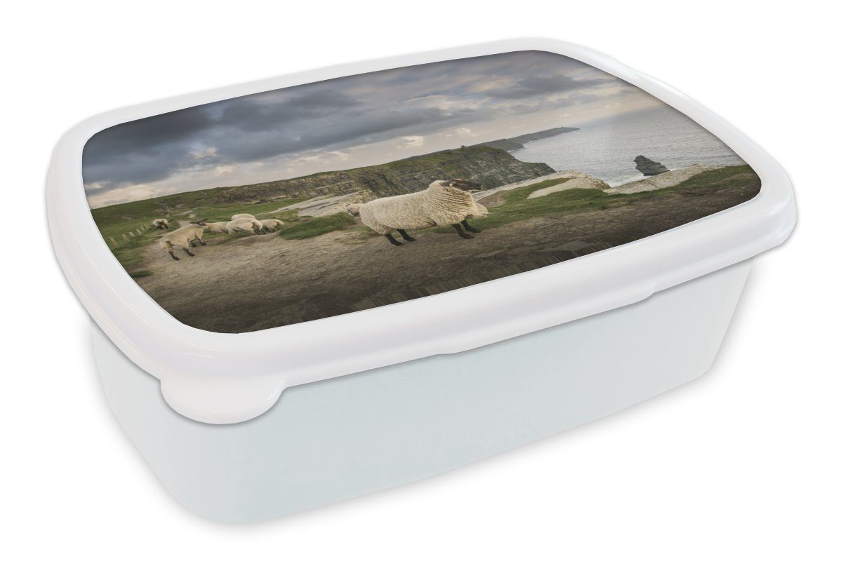 MuchoWow Lunchbox Schafe in Irland, Kunststoff, (2-tlg), Brotbox für Kinder und Erwachsene, Brotdose, für Jungs und Mädchen weiß